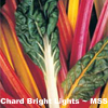 Winter Vegetable Selection