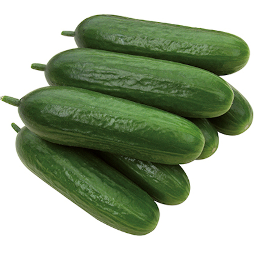 Cucumber (mini) ~ Iznik (April)