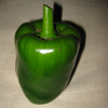 Grafted Sweet Pepper