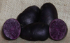 Blue Anneliese organic seed potato (February)